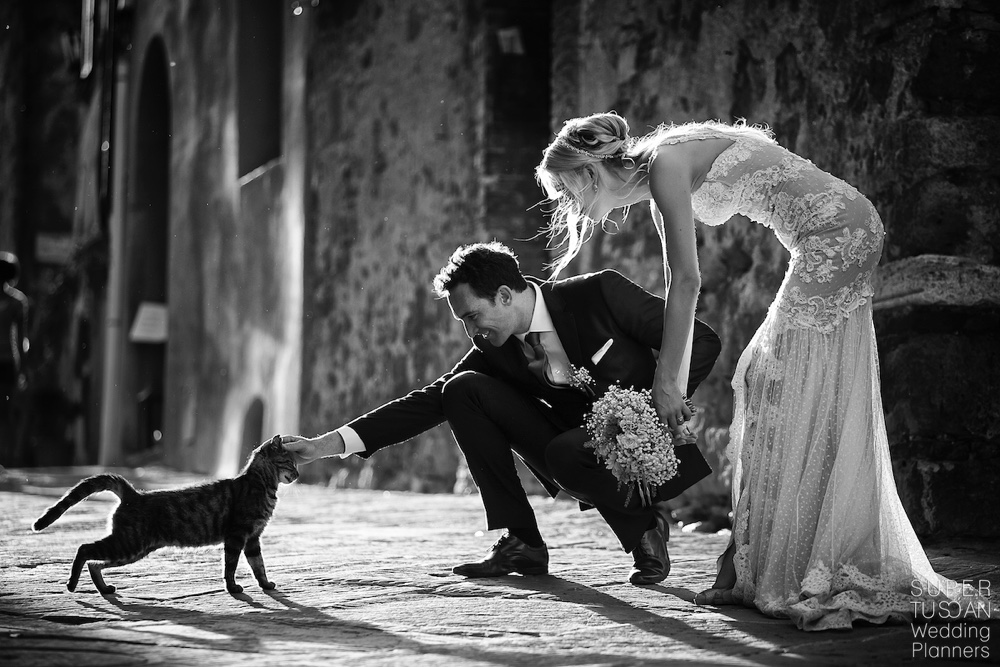 Pet Friendly Weddings